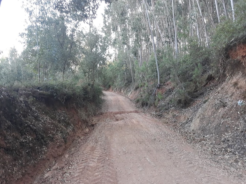 rbijota 8