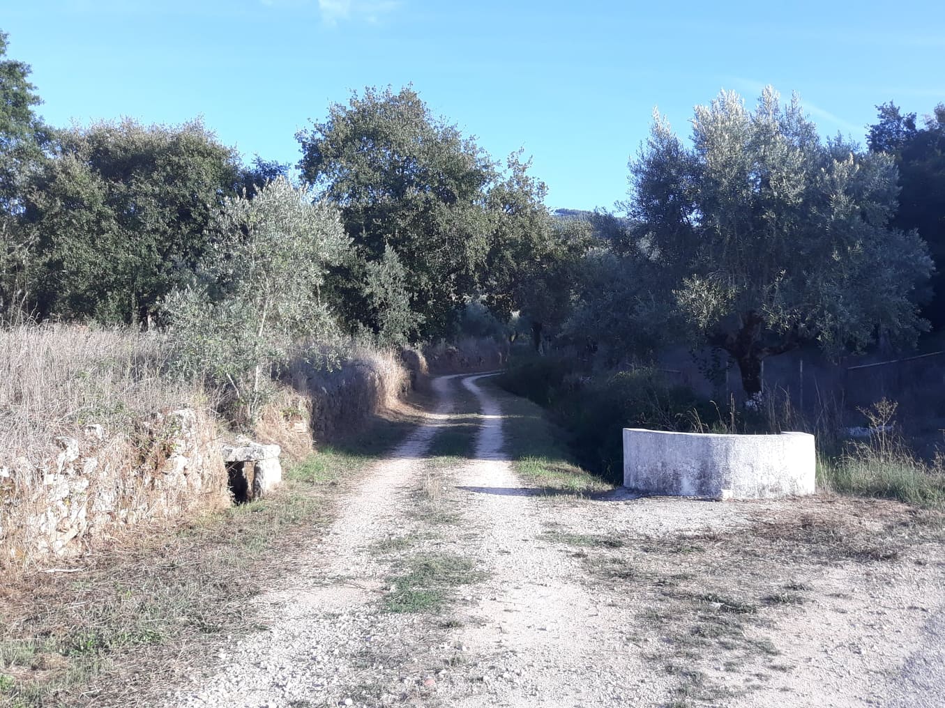 rfpedra 10