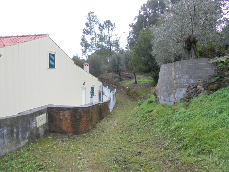 ruaaltocidral 7