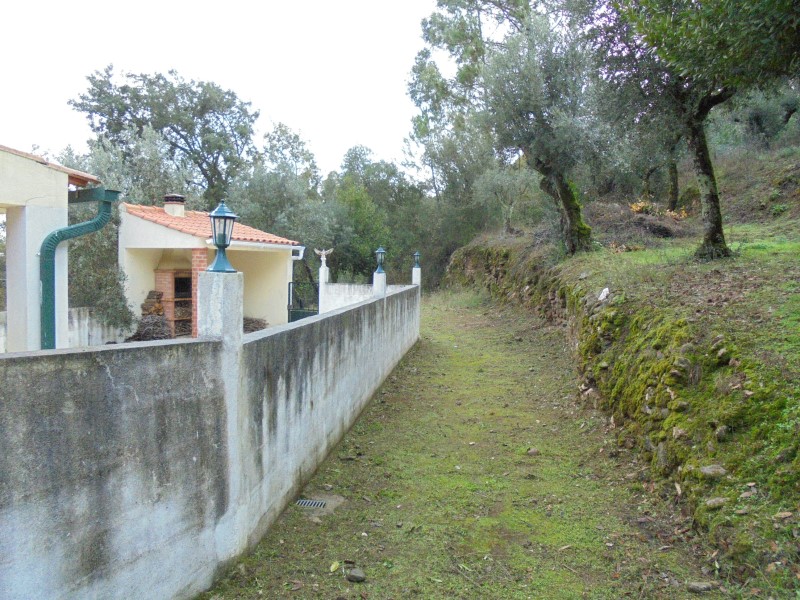 ruaaltocidral 8
