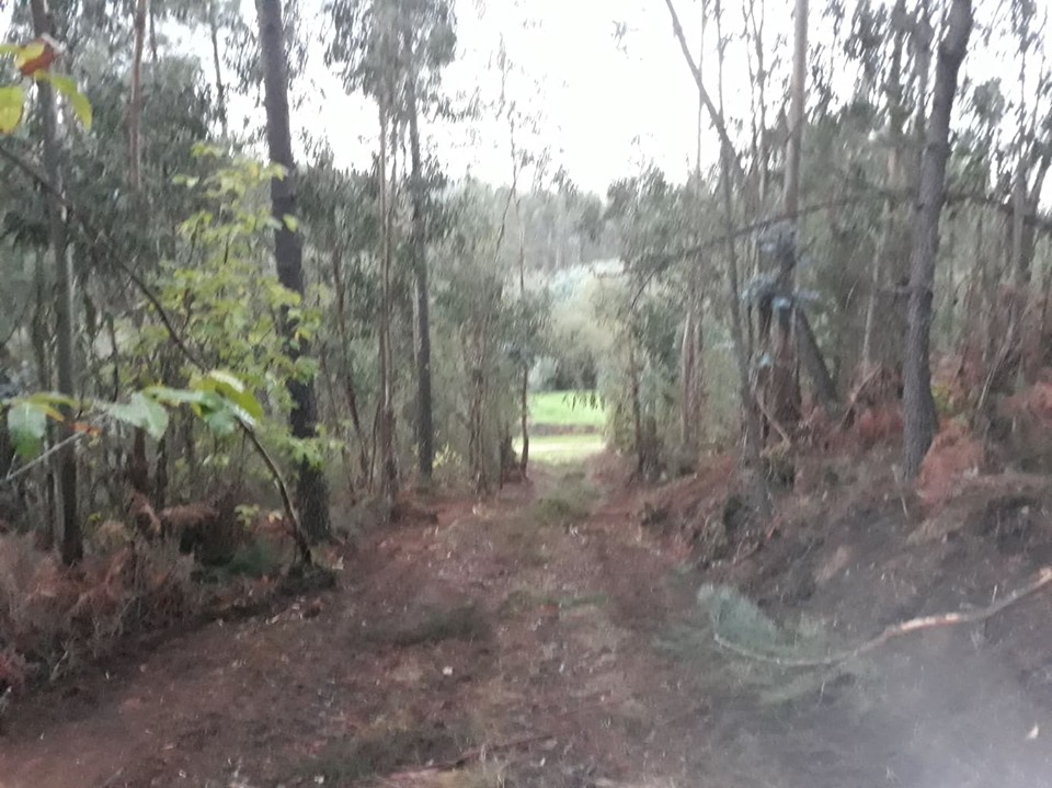 ruafonte 16