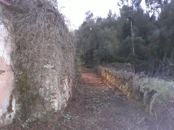 ruafonte 18