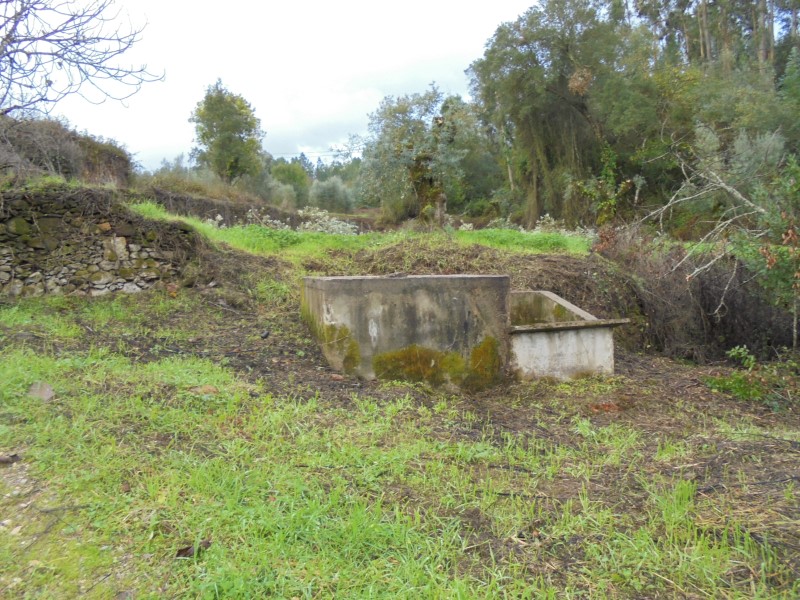 ruafonte 19