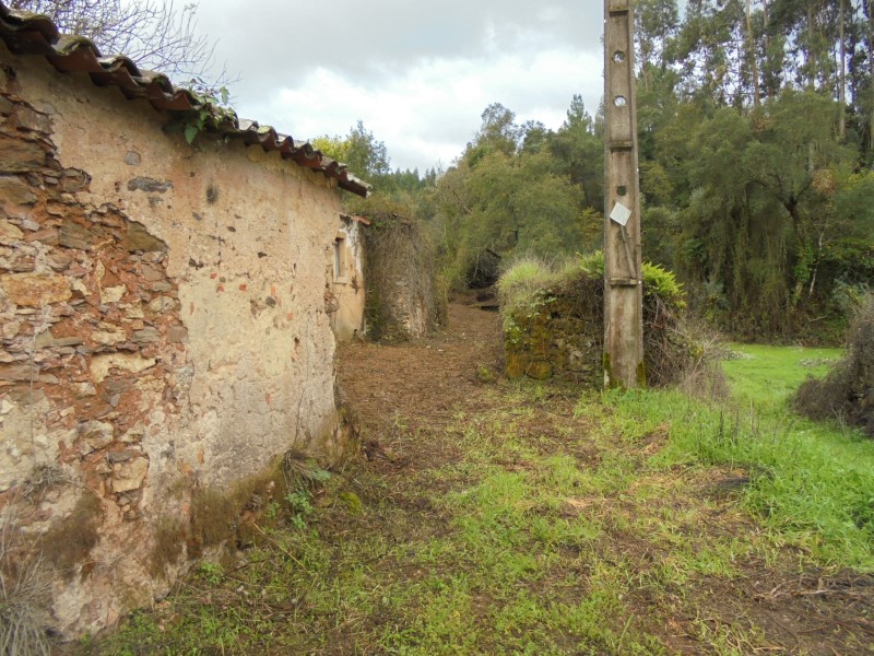 ruafonte 23