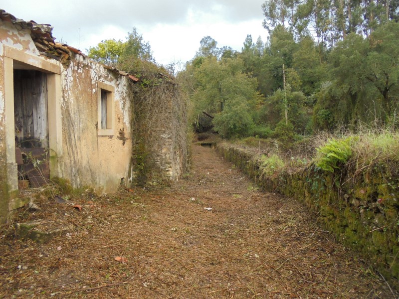 ruafonte 24