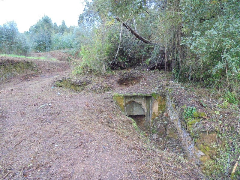ruafonte 26