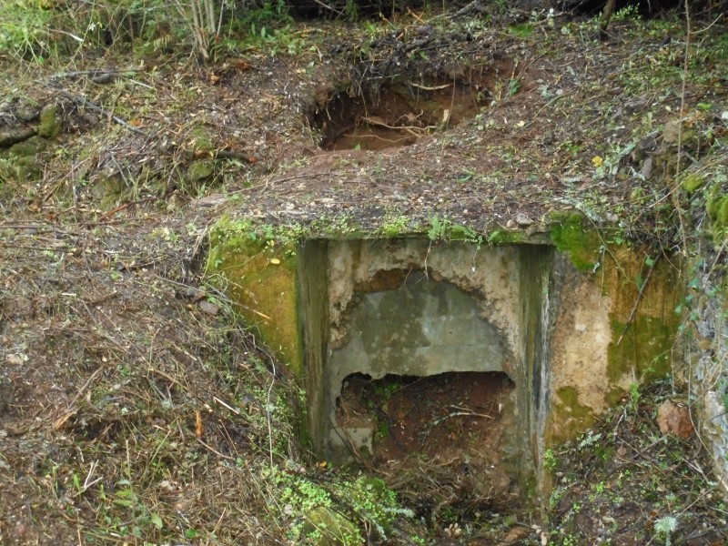 ruafonte 28