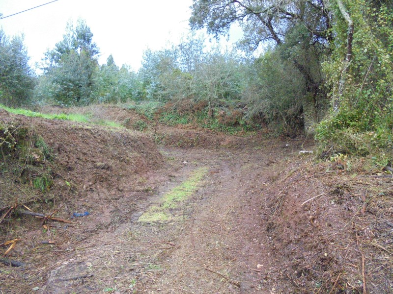 ruafonte 31