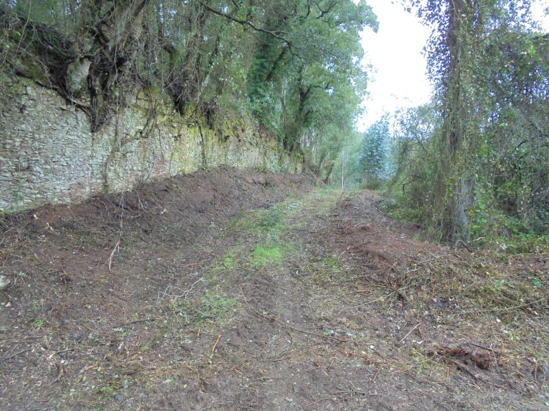 ruafonte 33