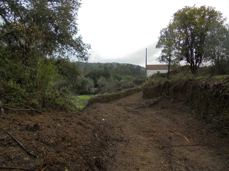 ruafonte 36
