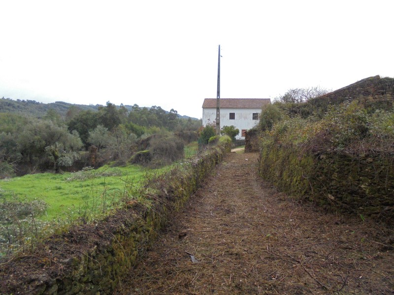 ruafonte 37