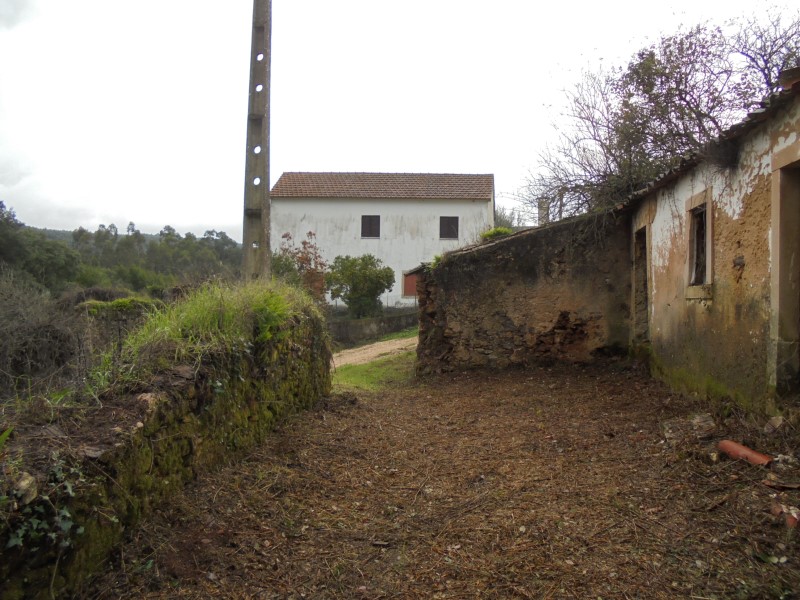 ruafonte 38