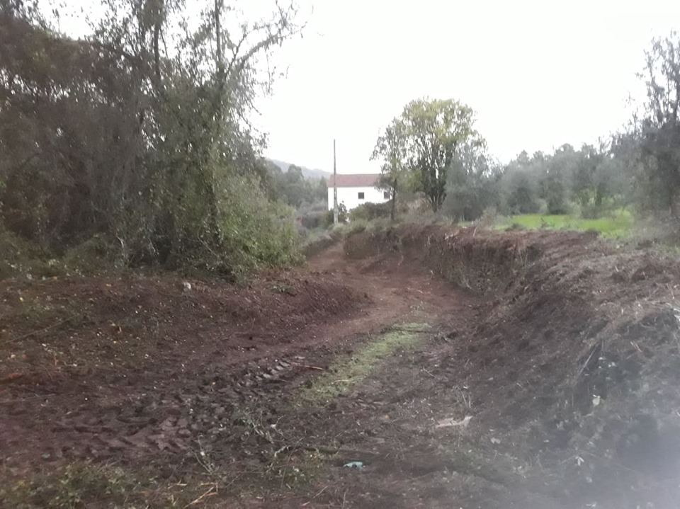 ruafonte 7