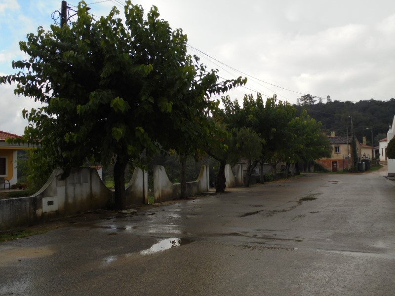 ruamoagem 5