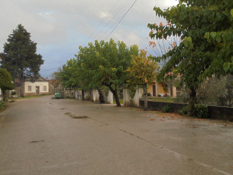 ruamoagem 6