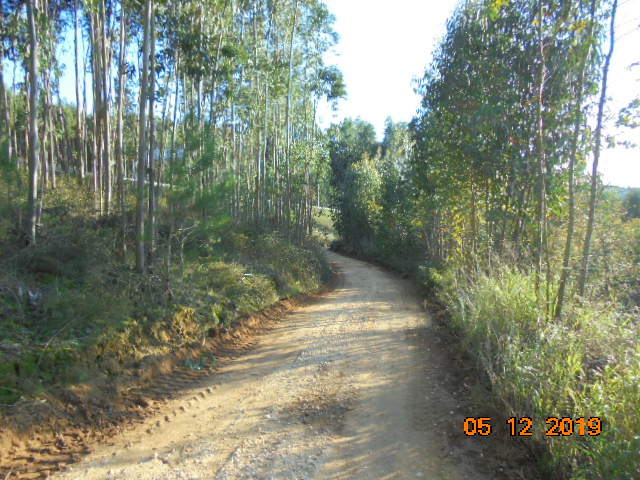 rrobária 5