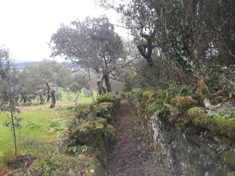 carreiros 14