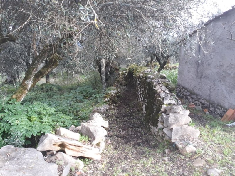 carreiros 29