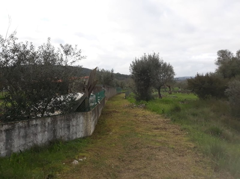 carreiros 34