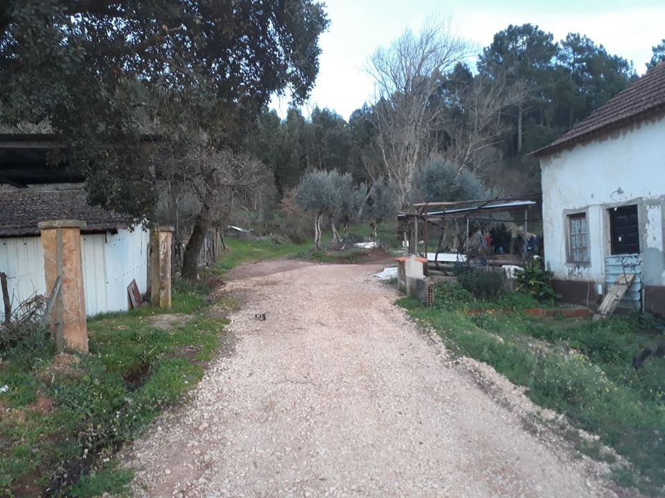 rfrei 16