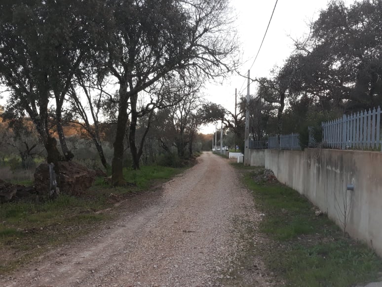 rmoinhos 2