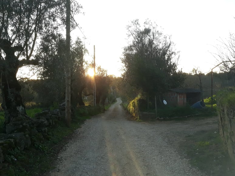 rmoinhos 27