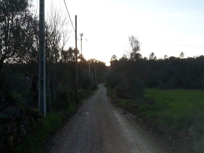 rmoinhos 4