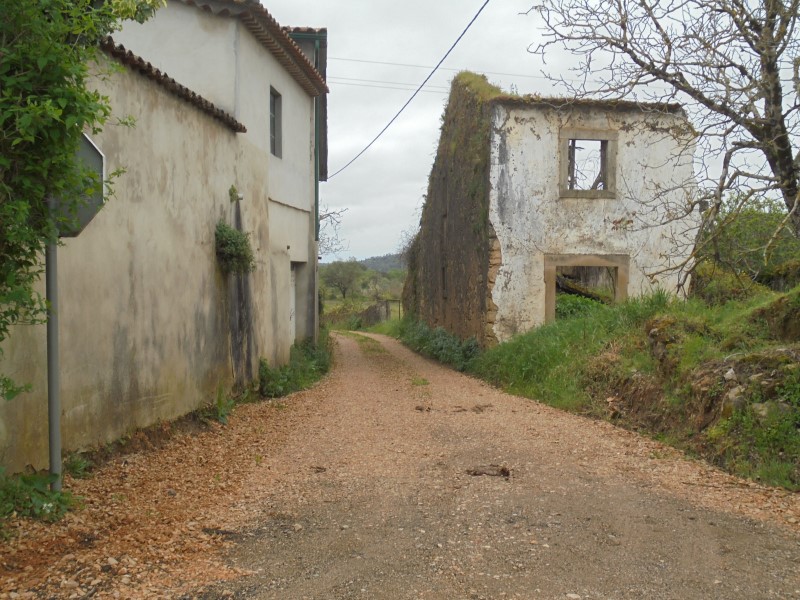 rermeiro 8