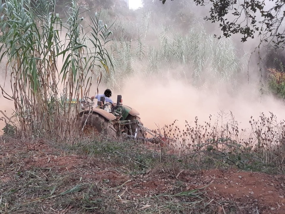 caminhopias 1 4