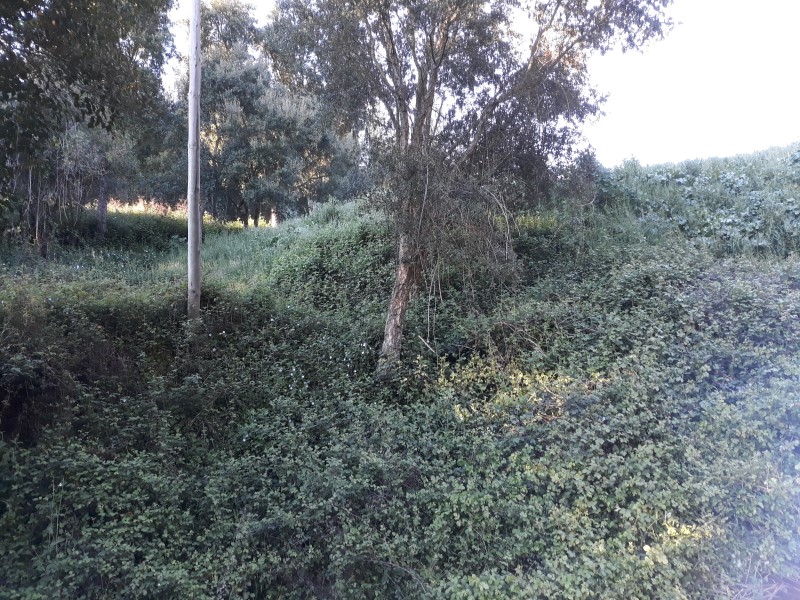 caminhopias 2 3