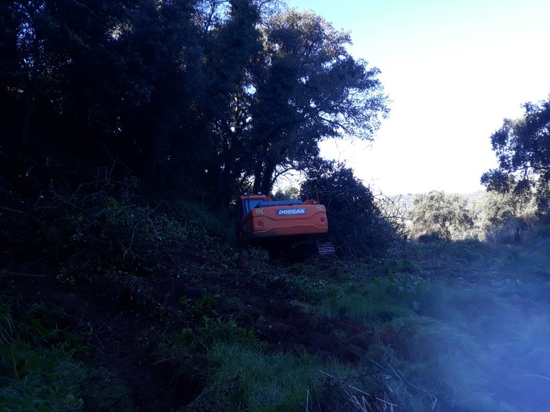 caminhopias 2 5