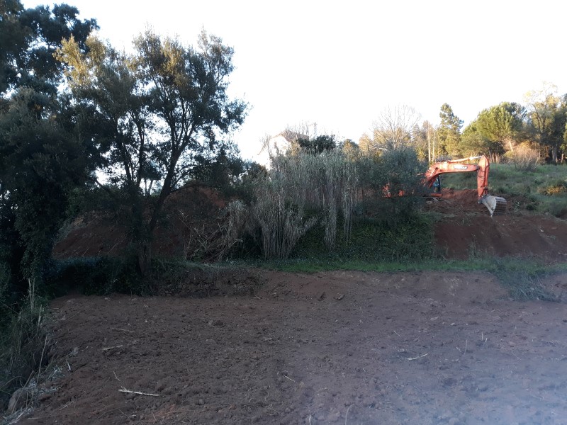 caminhopias 3 16