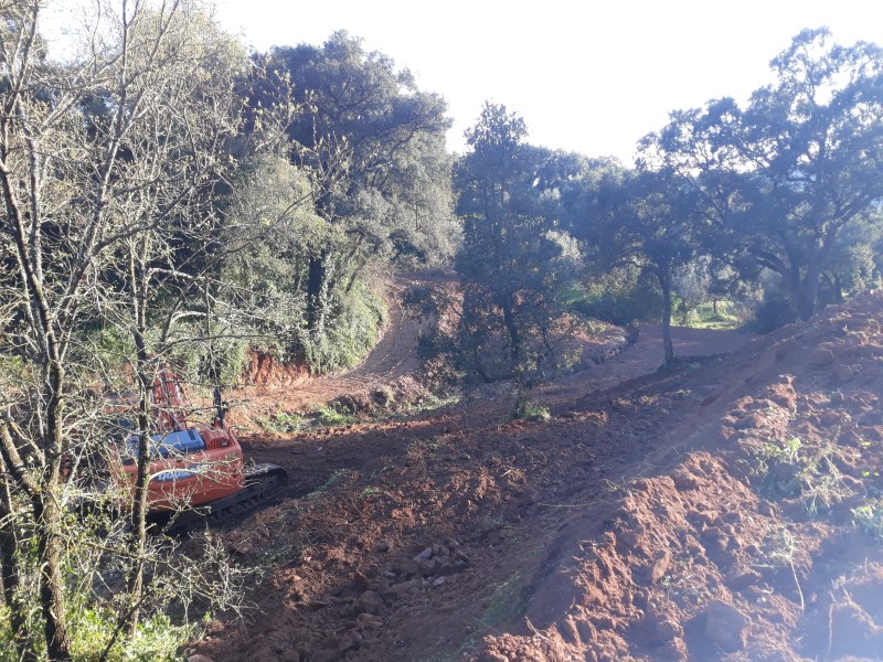 caminhopias 3 31