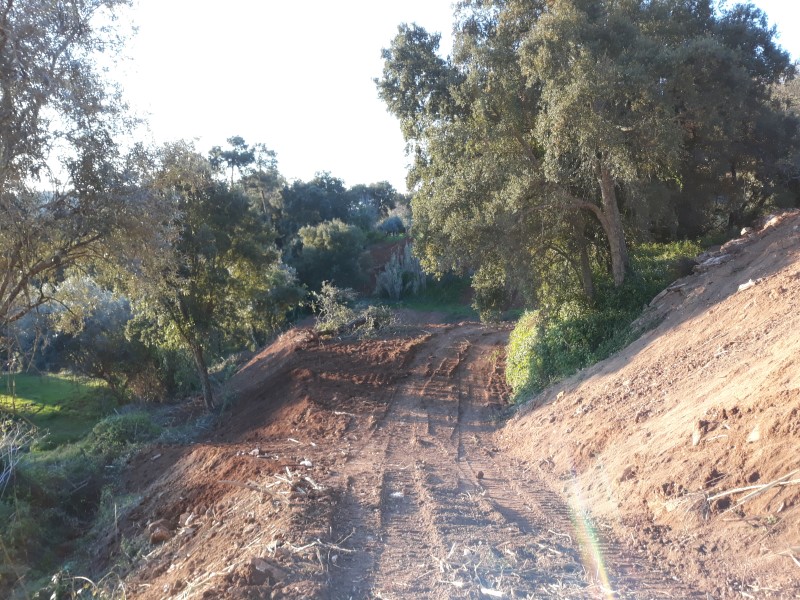 caminhopias 3 7