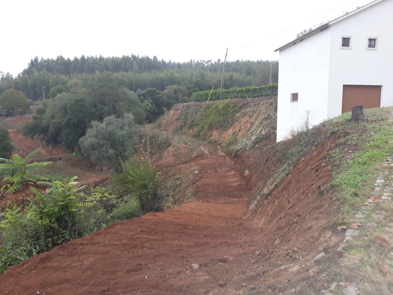 caminhopias 4 1