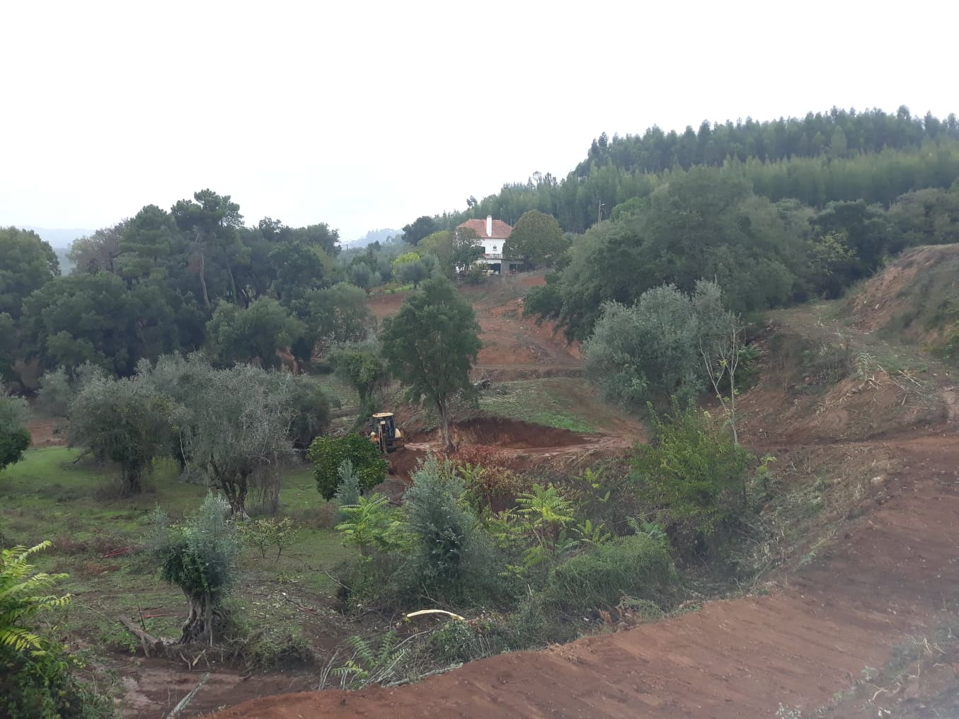 caminhopias 4 2