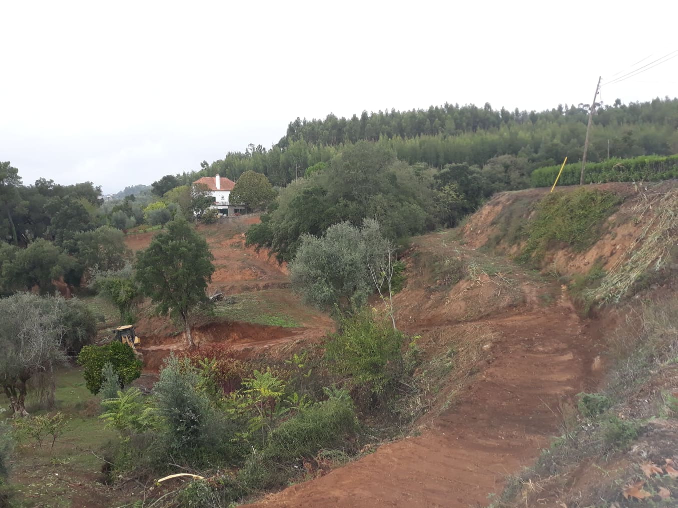 caminhopias 4 7