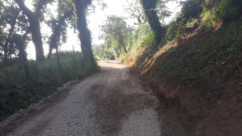 caminhopias 5 2
