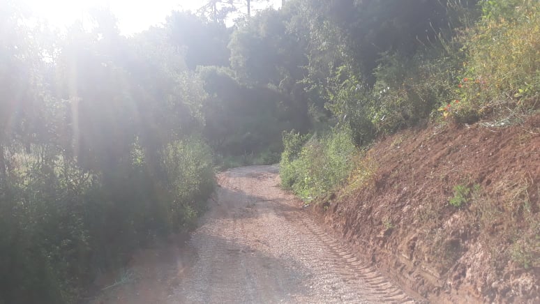 caminhopias 5 20