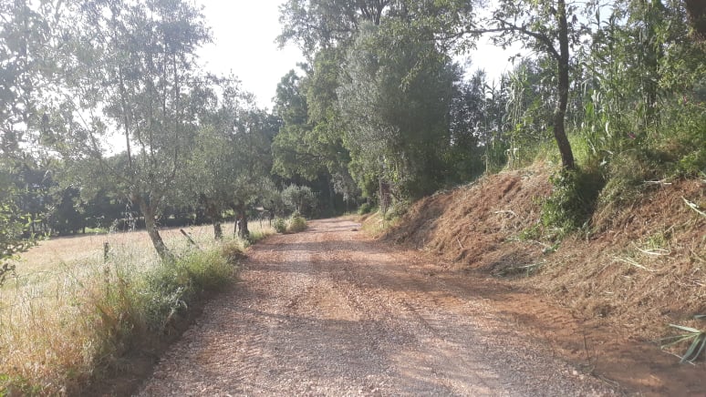 caminhopias 5 6