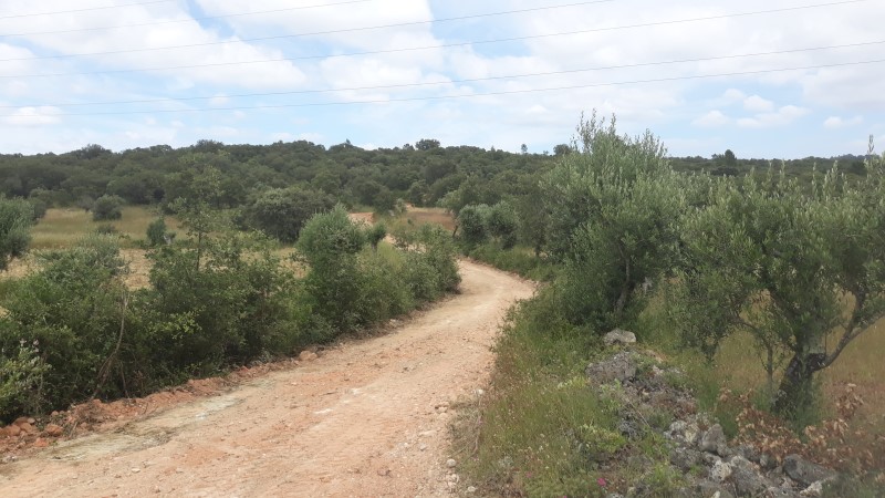rabeja 36