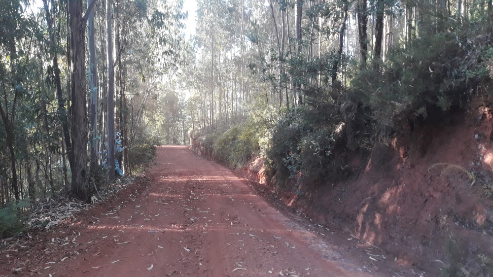 ruadaliberdade 10