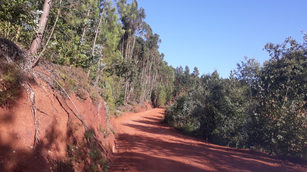 ruadaliberdade 11