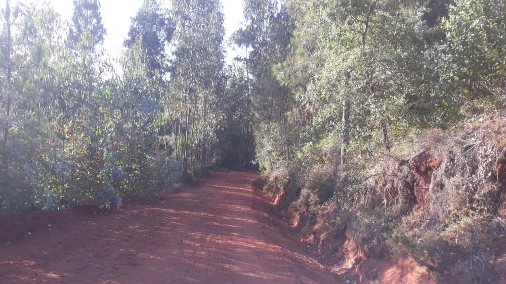 ruadaliberdade 12