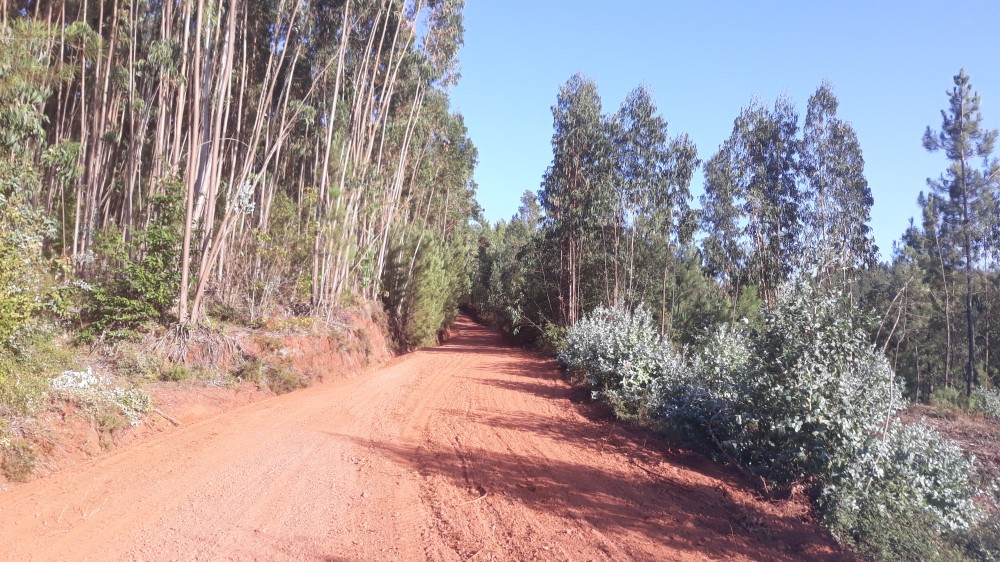 ruadaliberdade 13