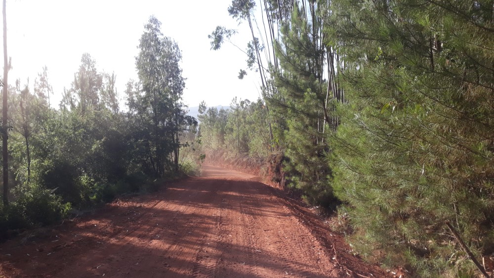 ruadaliberdade 14
