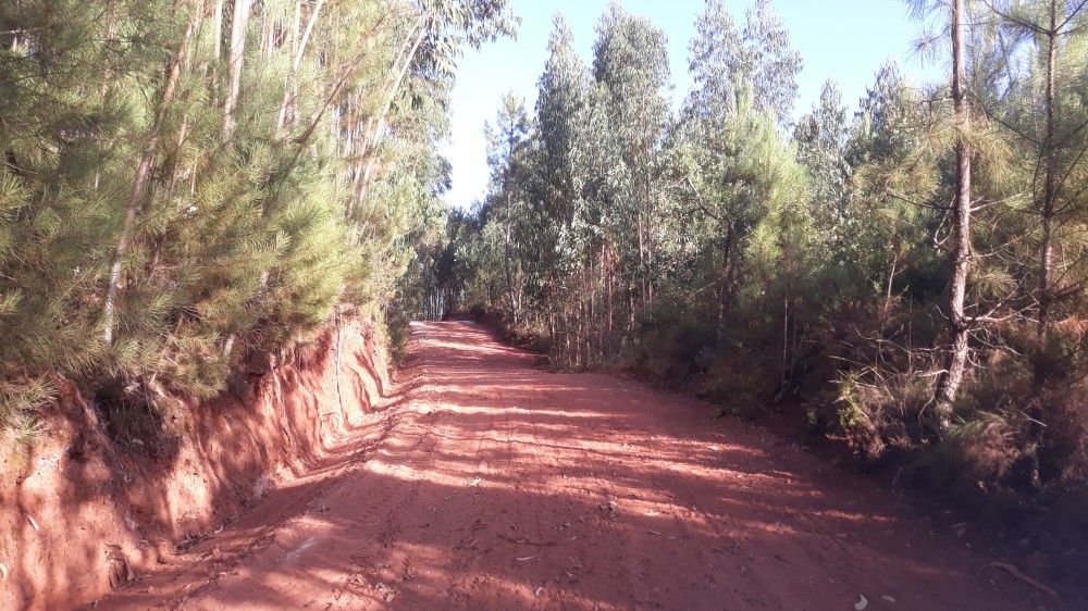 ruadaliberdade 15