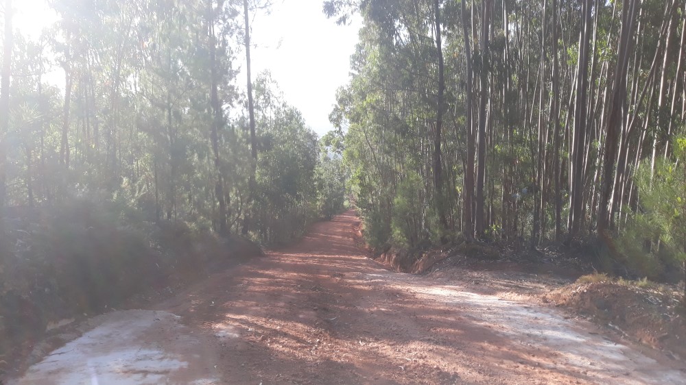 ruadaliberdade 16