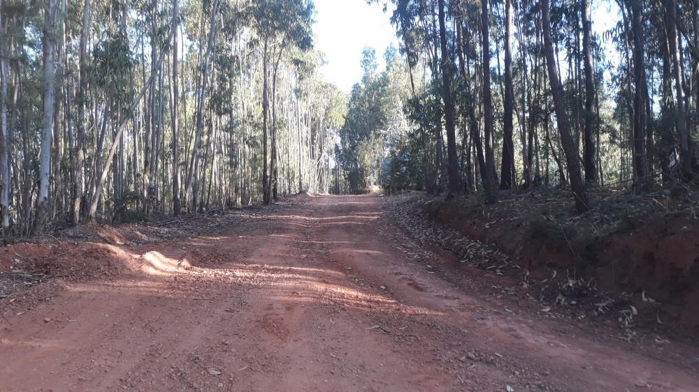 ruadaliberdade 17