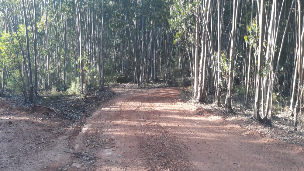 ruadaliberdade 18